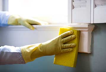 House Cleaning Services