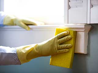 House Cleaning Services