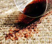 Affordable Carpet Cleaning Near Malibu